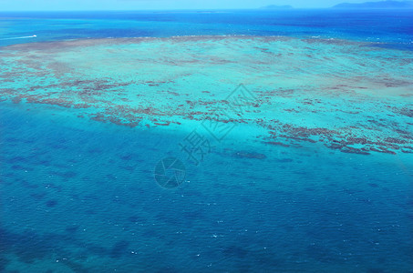 澳大利亚昆士兰州北昆士兰热带地区凯恩斯附近大堡礁上的乌波卢珊图片