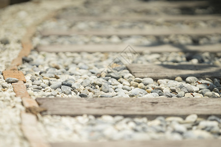 花园走道上的石头和木板铺路图片