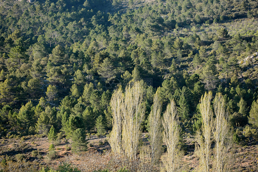 西班牙的山地景观图片