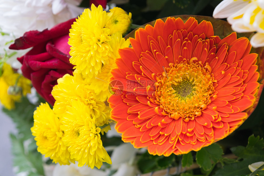 美丽的花朵橙色花束中自然美丽的花朵图片