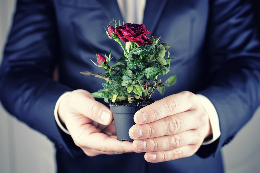 在一个玫瑰花中有一只手图片
