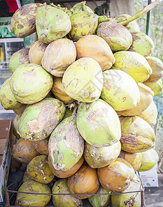 束椰子在市场上出售图片
