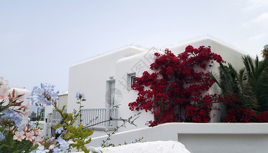希腊Mykonos岛外的漂亮建筑图片