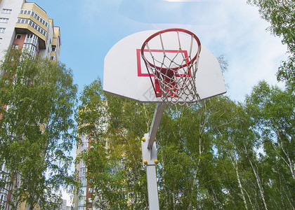 绿树背景下公园里的篮球架图片