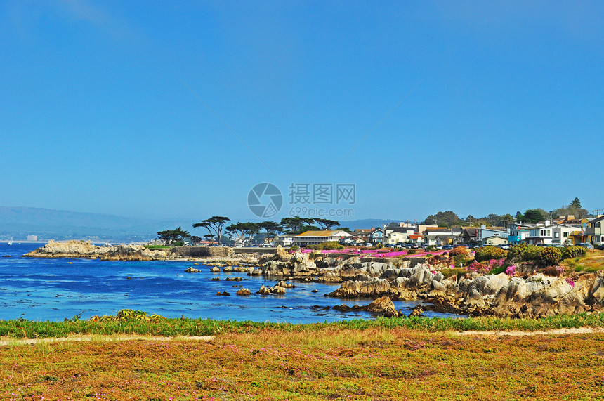 从太平洋格罗夫海景大道看到的蒙特雷湾图片