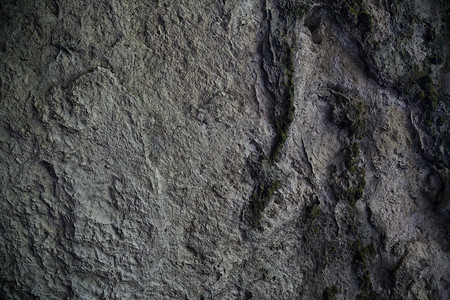 质岩石洞穴石头石图片