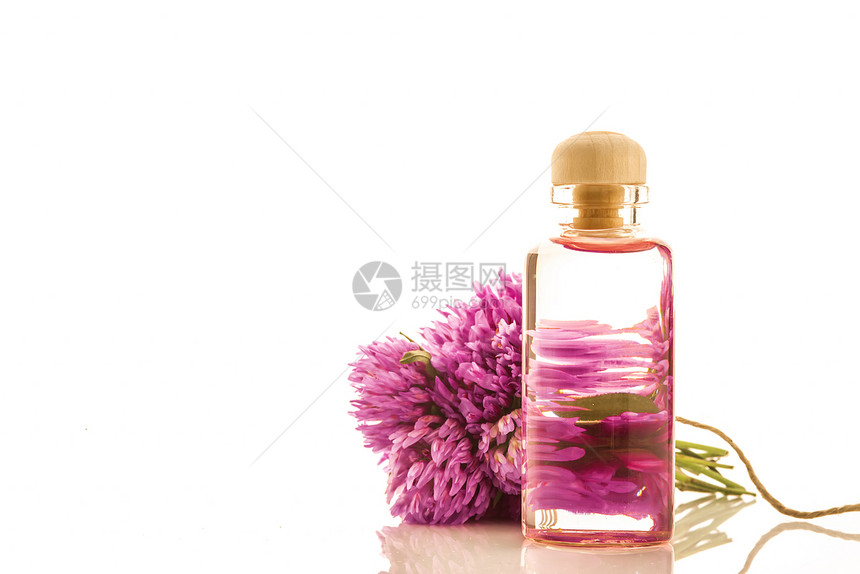 白色背景下玻璃瓶中红三叶草花的精华图片