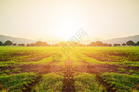 日落景观农田时间图片