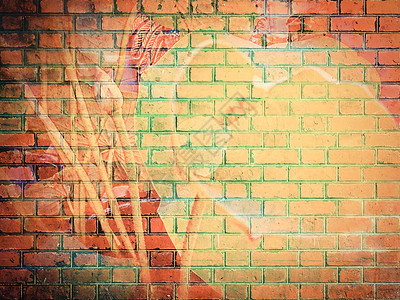 红砖壁纹理背景上的LotusFlower图片