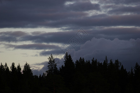 厚的云层笼罩着树的轮廓图片