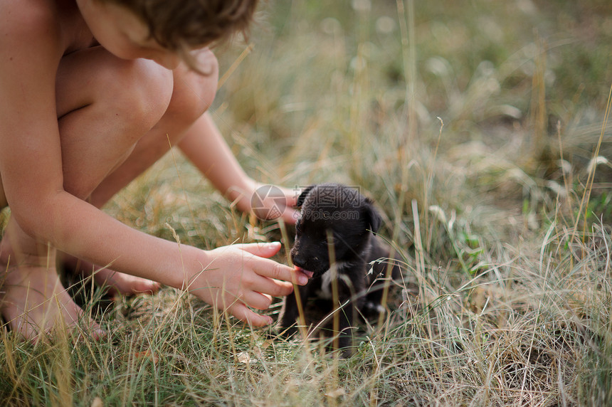 孩子抚摸一只小狗小的黑色小狗坐在干草上孩子蹲下身子图片