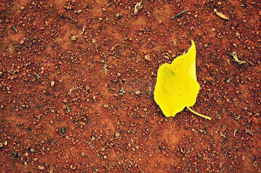 黄桦叶网球场干浅红色碎砖表面柔软效果图片