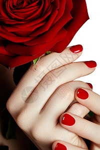 修指甲美丽的修剪整齐的女人的手与红色指甲油美丽的红色修指甲指甲上有红色指甲油的女孩指甲上亮红色的指甲油背景图片