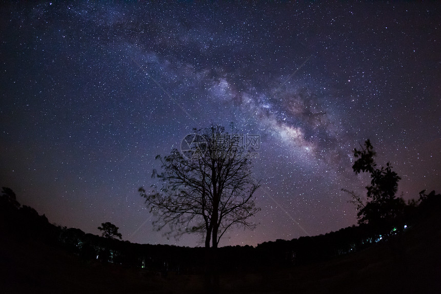 夜晚的夜空上美丽的奶状银河系和有云的树影图片