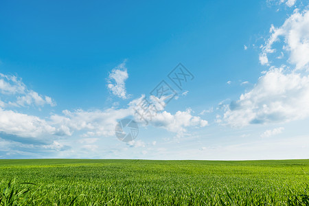 草原和蓝天阳光明媚的日落俄罗斯图片