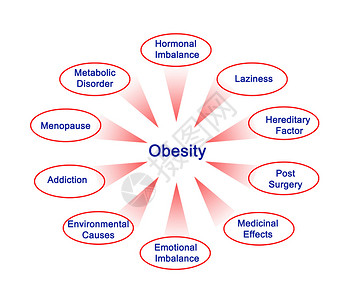肥胖图的介绍图片