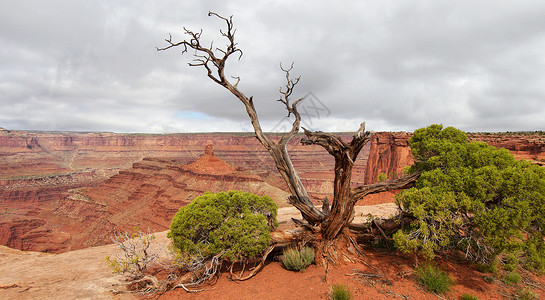 犹他州Canyonlands公园绿河图片