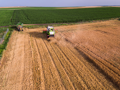 关于大型小麦田联合作业的背景图片
