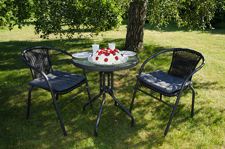 两张椅子和一张桌子夏天在花园的一棵树下图片