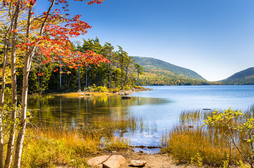 缅因山湖阳光明媚的秋天图片