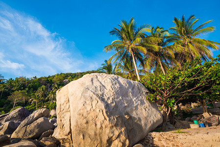 热带岩石海滩图片