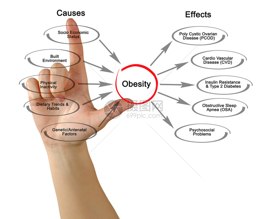 肥胖图原因和影响图片