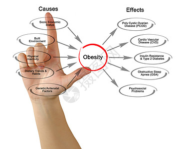 肥胖图原因和影响图片