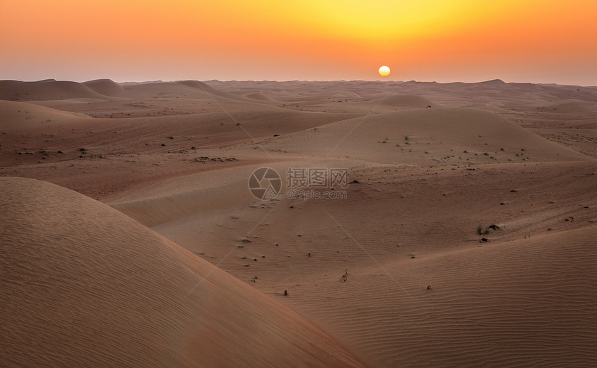 阿联酋迪拜沙漠保护区沙丘上图片