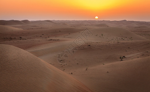 阿联酋迪拜沙漠保护区沙丘上图片