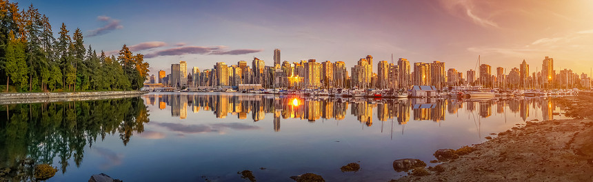 美丽的温哥华天际和著名的港湾区域全景图片