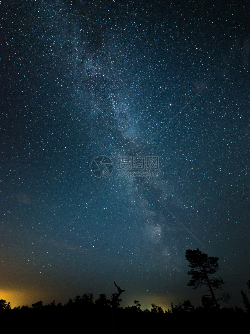 夜晚的夜空上美丽的奶状银河系和带云的树影图片