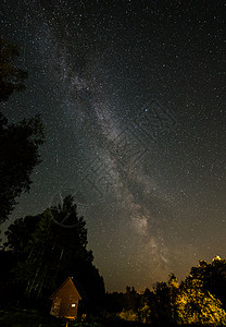 夜晚的夜空上美丽的奶状银河系和带云的树影图片