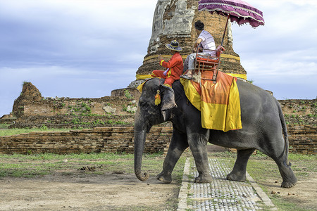 骑大象旅游的客图片