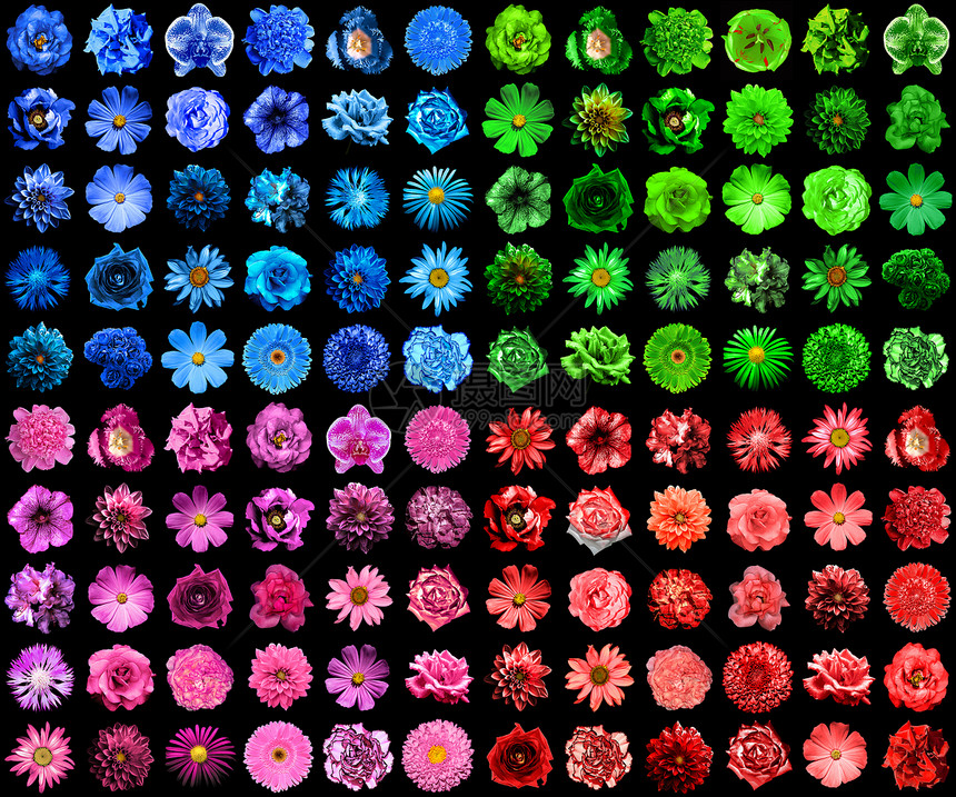120合1个天然和超现实的蓝色绿色红色和粉红色花朵的巨型包装图片