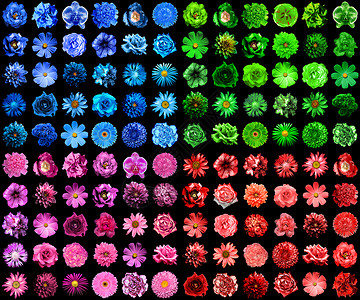 120合1个天然和超现实的蓝色绿色红色和粉红色花朵的巨型包装图片