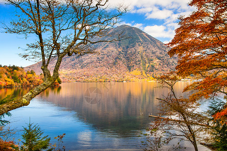 日本Nikko山和Chu背景图片