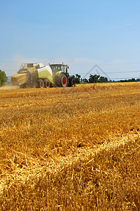 收获成熟玉米田的收割机农业机器拖拉机-具有工业主题的图片