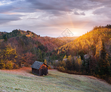 秋天的风景和木屋山坡上的森林多姿彩阳图片