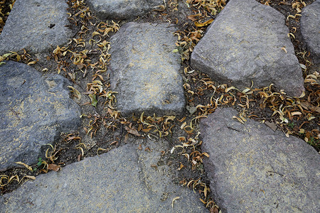 天然石材原卷纹理面背景图片