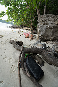 海滩上的垃圾环境污染概念的图画图片