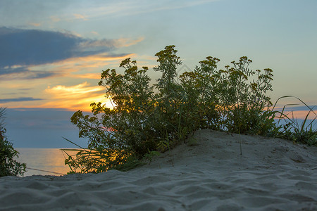 白海沙滩上的落日图片