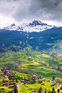 格林德瓦山谷与村庄散落在伯尔尼阿尔卑斯山的绿色山坡上图片