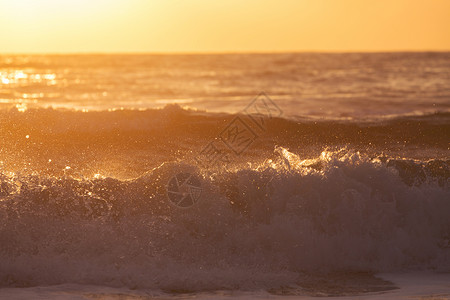 夏日海浪在早晨的阳光下溅起海浪图片