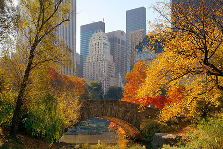 曼哈顿中央公园纽约市秋天有图片