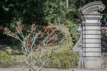 圣保罗植物园是巴西圣保罗的一个植物园该公园占地16445公顷图片