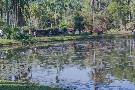 圣保罗植物园是巴西圣保罗的一个植物园该公园占地16445公顷图片