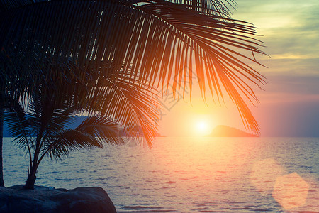 在热带海岸的日落图片