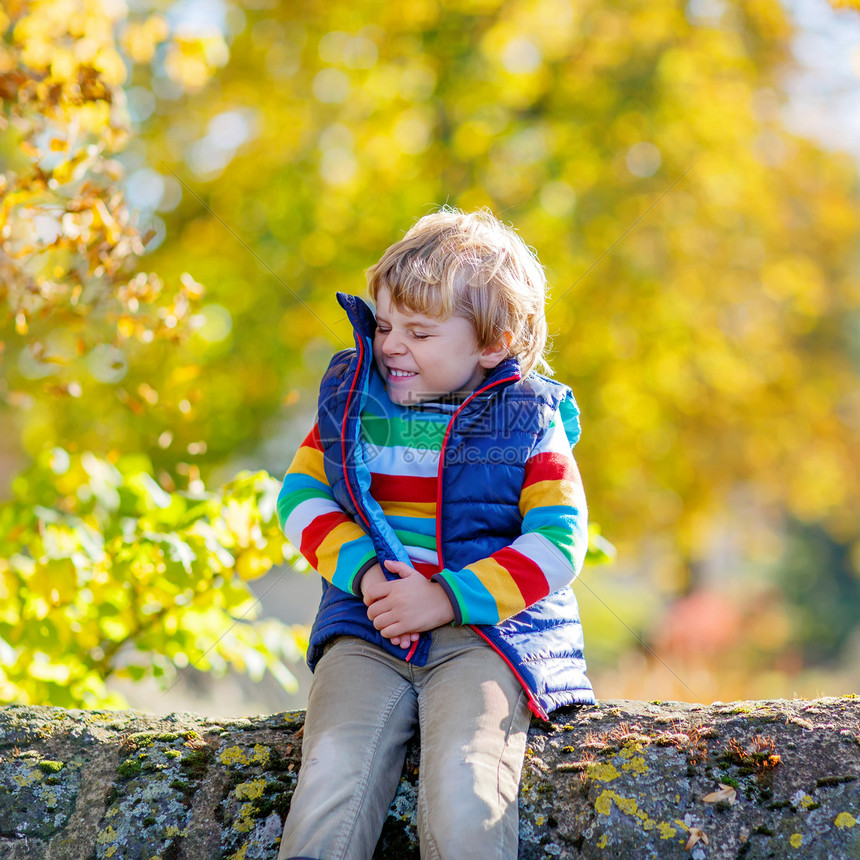 有趣的小男孩3年在秋天公园玩黄色枫叶孩子在寒冷的秋天阳光明媚的日子玩得开心快乐的童年和户外休闲概念背景上图片