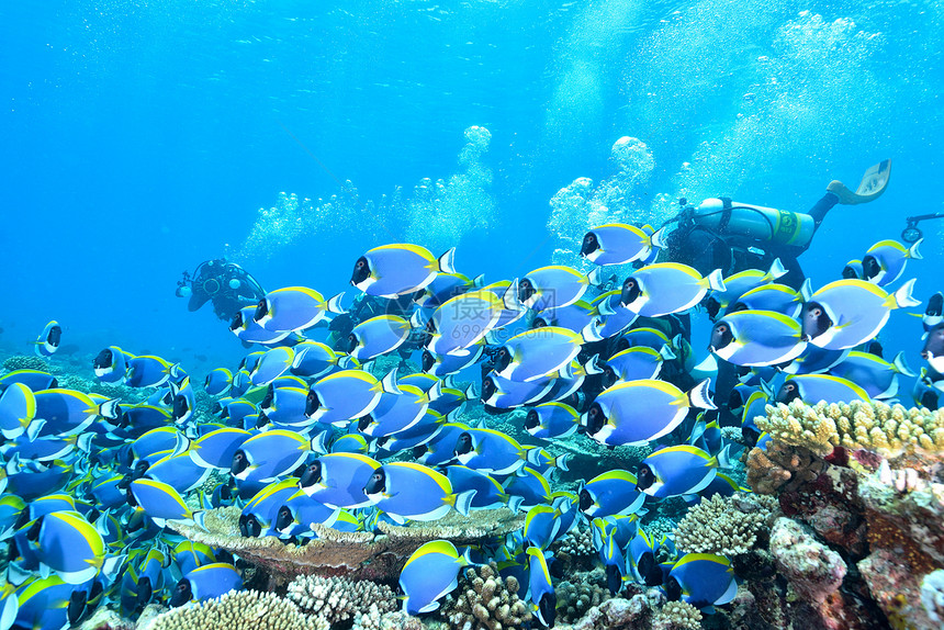 马尔代夫海洋粉末蓝图片