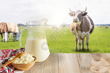 牛奶和干酪在牛群草地上的背景说明背景图片